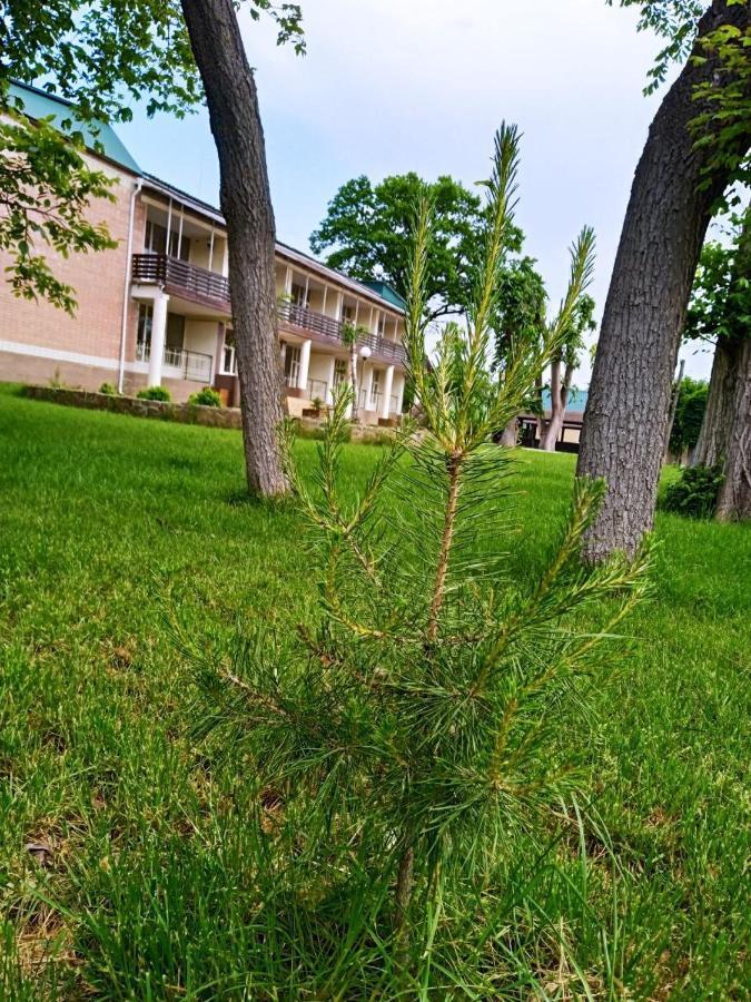 Оздоровительный Комплекс Княжий Град Hotel Khascheve Exterior photo